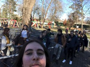 zold_9-12 (06)